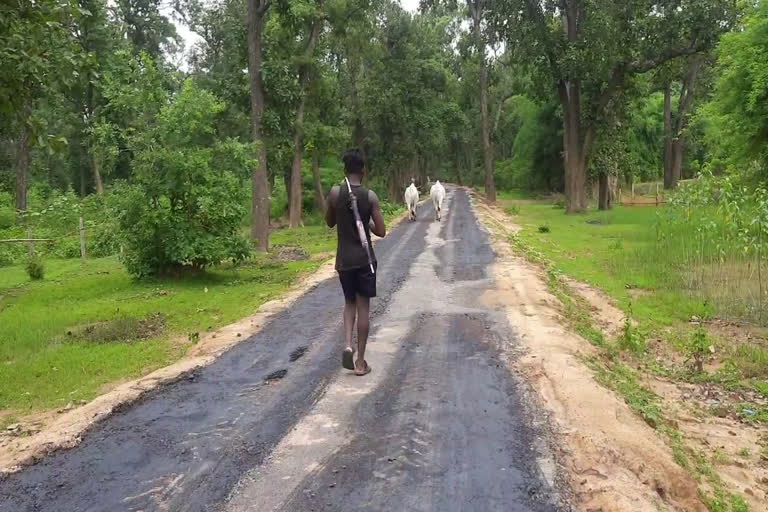 corruption on road construction