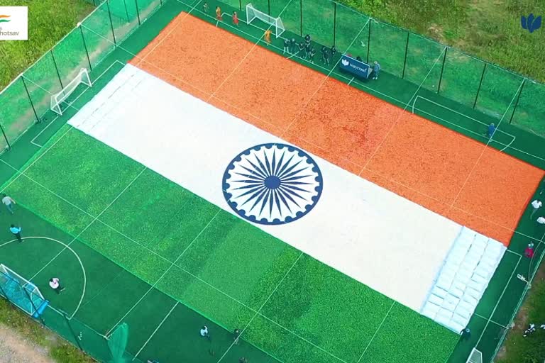 A tricolor flag prepared with fresh vegetables