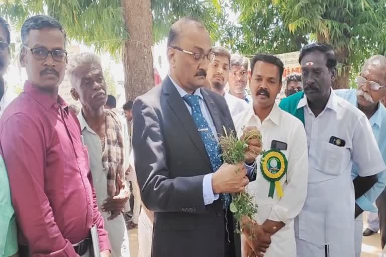 சீர்காழியில் களைகட்டிய நெல் திருவிழா