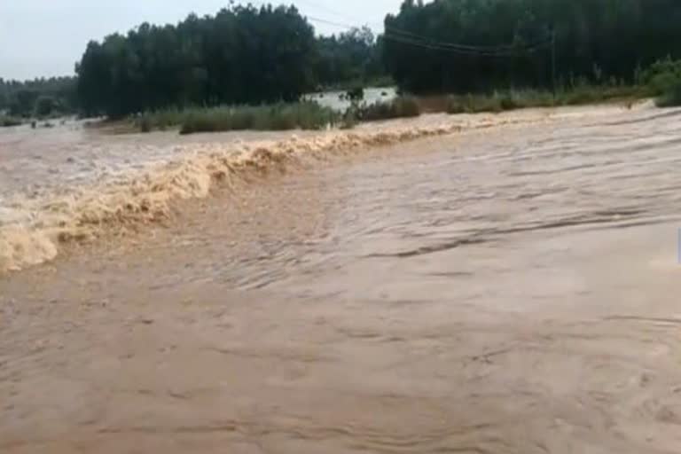 flood at baitarani river in bhadrak