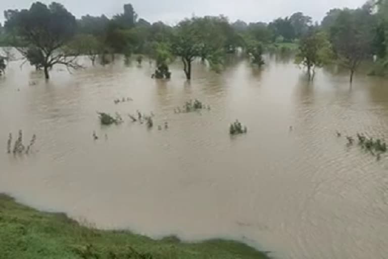 Railway track submerged fifty acres of paddy crop in Pendra