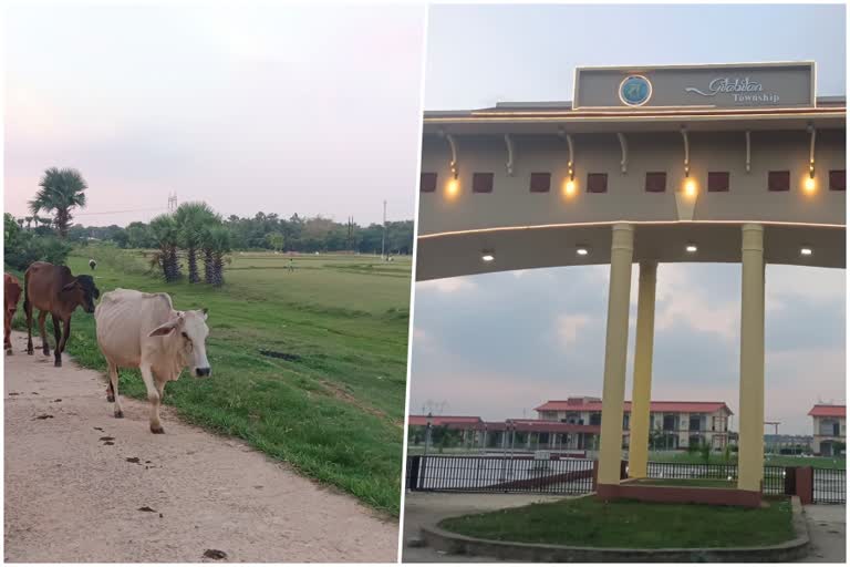 Bolpur Farm Land