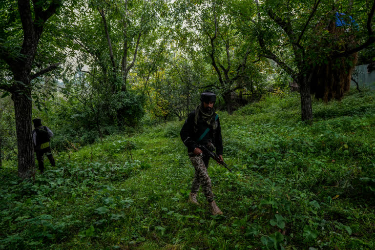 Hideout busted in Shopian arms and ammunition recovered