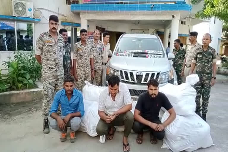 ganja smugglers arrested