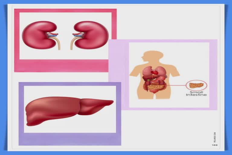 Small Intestine Organ Donation at Ahmedabad Civil Hospital