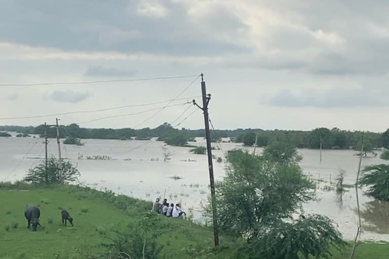 Danger of floods in Bhind