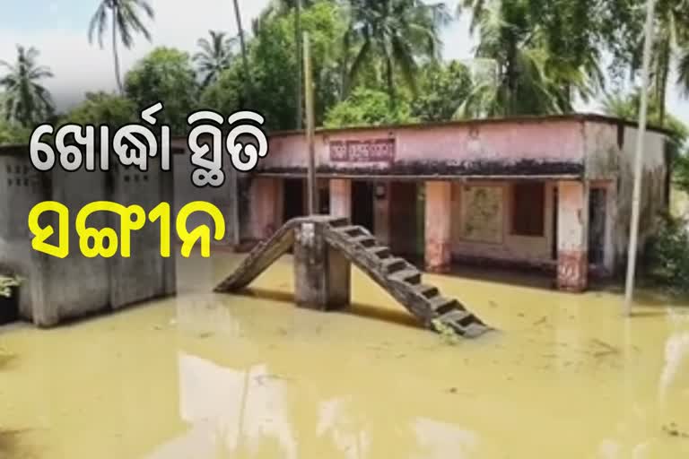 ଖୋର୍ଦ୍ଧା ଜିଲ୍ଲାରେ ବନ୍ୟା ସ୍ଥିତି ସଙ୍ଗୀନ, ୨୦ହଜାର ଲୋକ ପ୍ରଭାବିତ