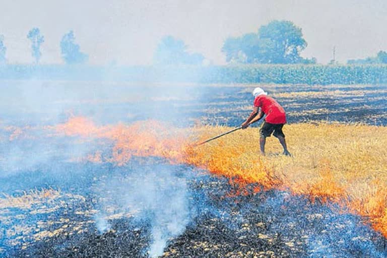 punjab politics