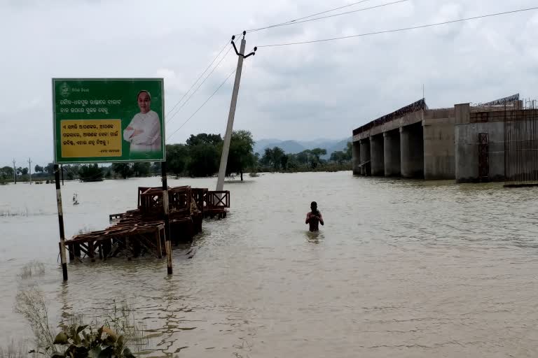 କମୁଛି ବନ୍ୟା ଆଶଙ୍କା, ବଢୁଛି ଲୋକଙ୍କ ଦୁର୍ଦ୍ଦଶା