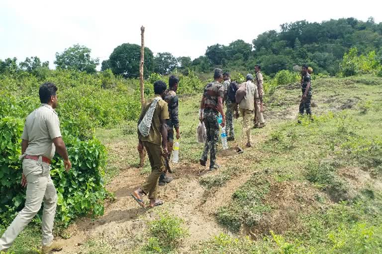 நான்காவது நாளாக யானையை தேடும் பணி தொடர்கிறது