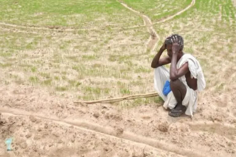 मानसून में बारिश की कमी से किसान परेशान