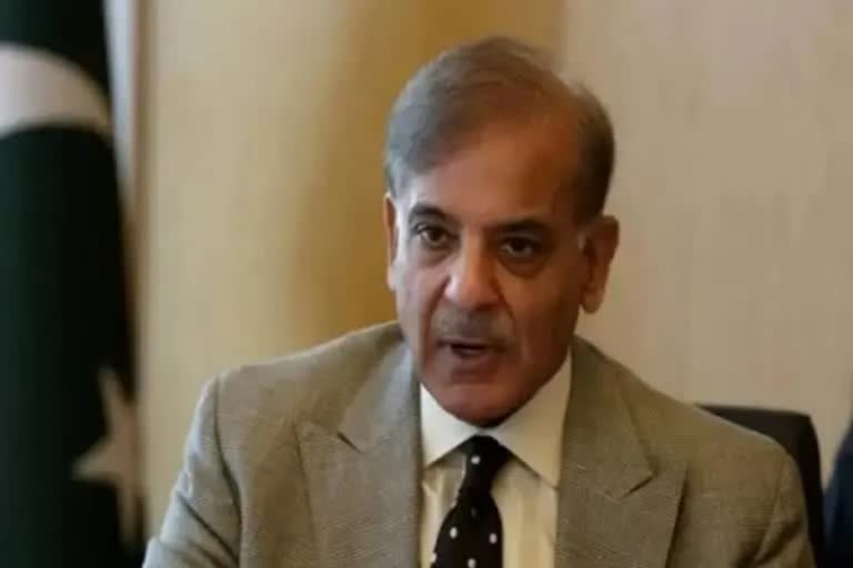 Pakistan Prime Minister Shehbaz Sharif