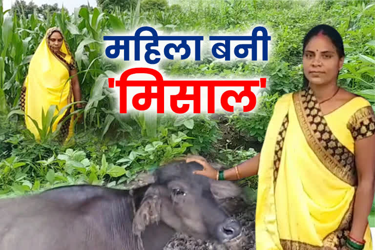 Shahdol Women Farmer Niranjana Singh made farming profitable business