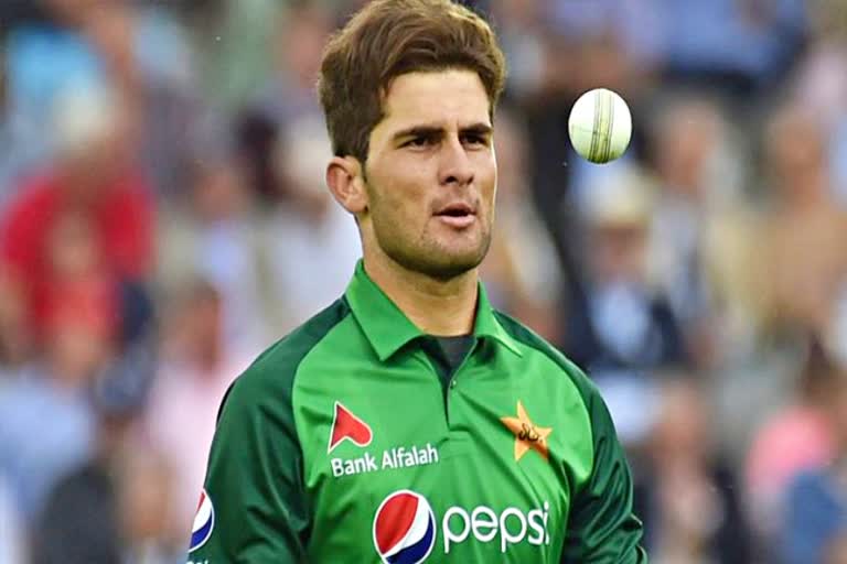 Asia Cup 2022  Shaheen Afridi  Shaheen Afridi ruled out of Asia Cup 2022  एशिया कप 2022  शाहीन शाह अफरीदी  एशिया कप 2022 से बाहर हुए शाहीन अफरीदी