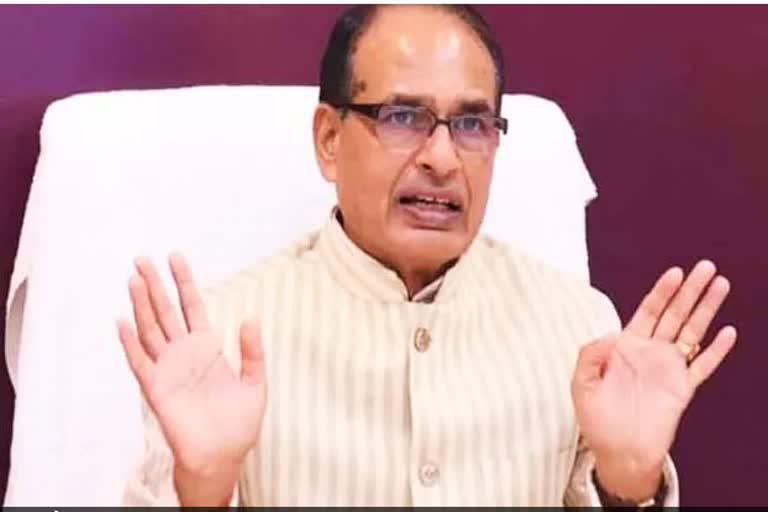 shivraj on bjp parliamentry board