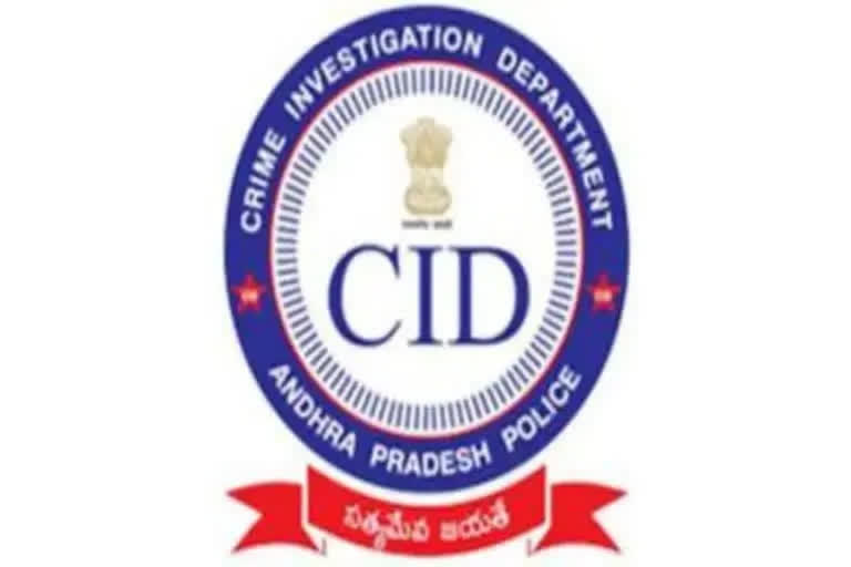 CID checkings on travel agencies