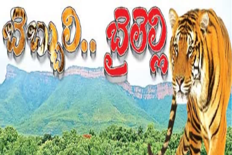 102 ఏళ్ల తర్వాత శేషాచలంలోకి బెబ్బులి ఆగమనం