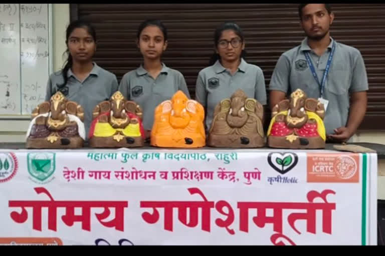 Eco Friendly Ganpati