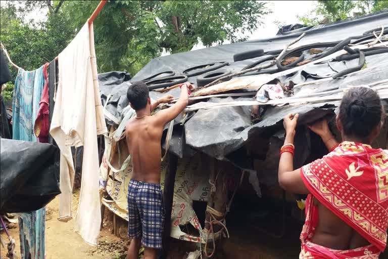 many families living under a polythene due to lack of govt assistance in boudh