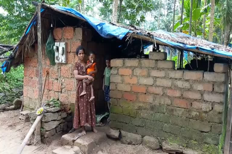 miserable life of Adivasi families of Malappuram  miserable life of Adivasi families  Adivasi  Adivasi families of Malappuram  Adivasi families suffering to lack of funds for house construction  ആദിവാസി കുടുംബങ്ങള്‍  ആദിവാസി  കാളികാവ് അരിമണൽ  കാളികാവ്  മലപ്പുറം കാളികാവ്