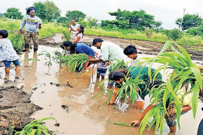 Natural Farming Schools in Hyderabad