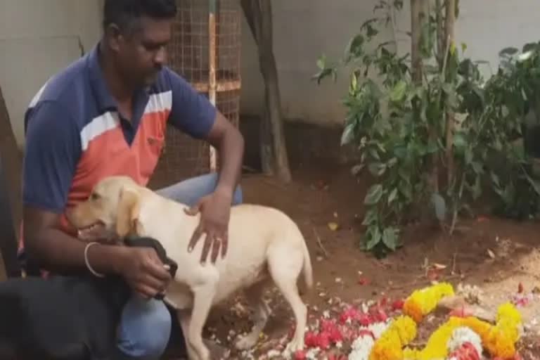 A family Planned to build Memorial for pet Dog  പ്രിയപ്പെട്ട വളര്‍ത്തുനായയ്‌ക്കായി ശവകുടീരം  സച്ചിന്‍ എന്ന് വിളിക്കുന്ന വളര്‍ത്തുനായ  വളര്‍ത്തുനായയ്‌ക്കായി ശവകൂടീരം പണിയാന്‍ തീരുമാനിച്ച് തമിഴ്‌നാട്ടിലെ മയിലാടുതുരൈയിലെ ഹരി ഭാസ്‌കറും കുടുംബവും  news on relation between dog and his owner  തമിഴ്‌നാട്ടിലെ മയിലാടുതുരൈയില്‍ വളര്‍ത്തുനായയ്‌ക്കായി ശവകുടീരം  family Planned to build Memorial for pet Dog  സച്ചിന്‍