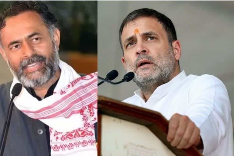 rahul, yogendra yadav