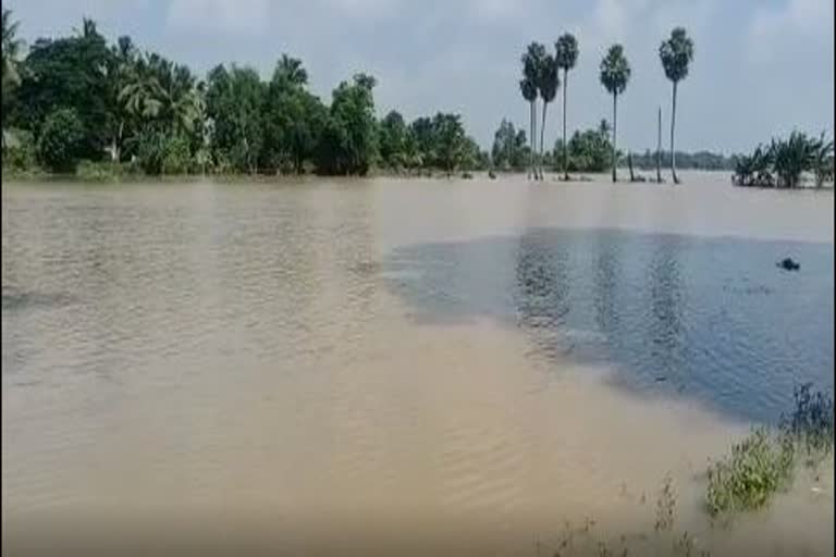 flood situation in puri affected many blocks