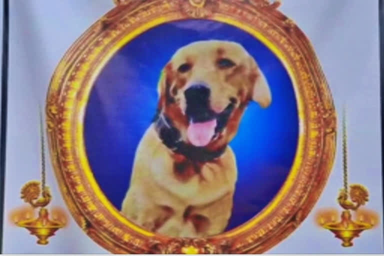 A memorial for man's best friend "Sachin" coming up in Tamil Nadu