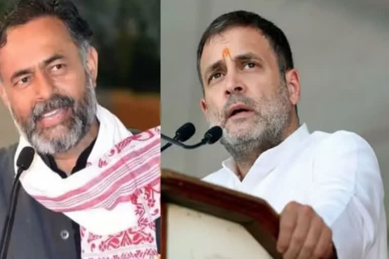 Yogendra Yadav Support Congress Leader Rahul Gandhi, Bharat Jodo Yatra