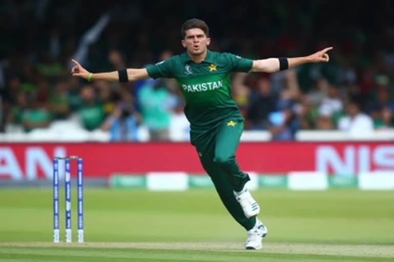 Asia Cup 2022: Massive Setback for Pakistan, Inzamam-ul-Haq on Shaheen Afridi Absence
