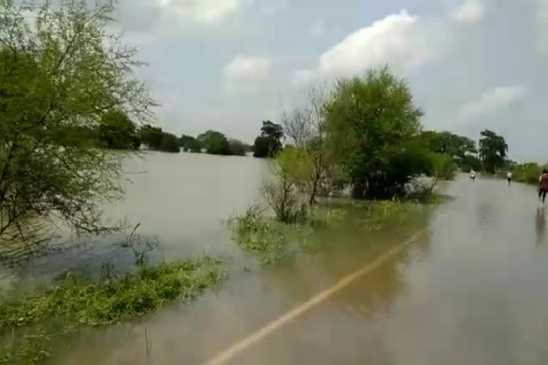 Due to dulna Anicut in Dhamtari