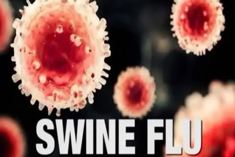 Swine Flu