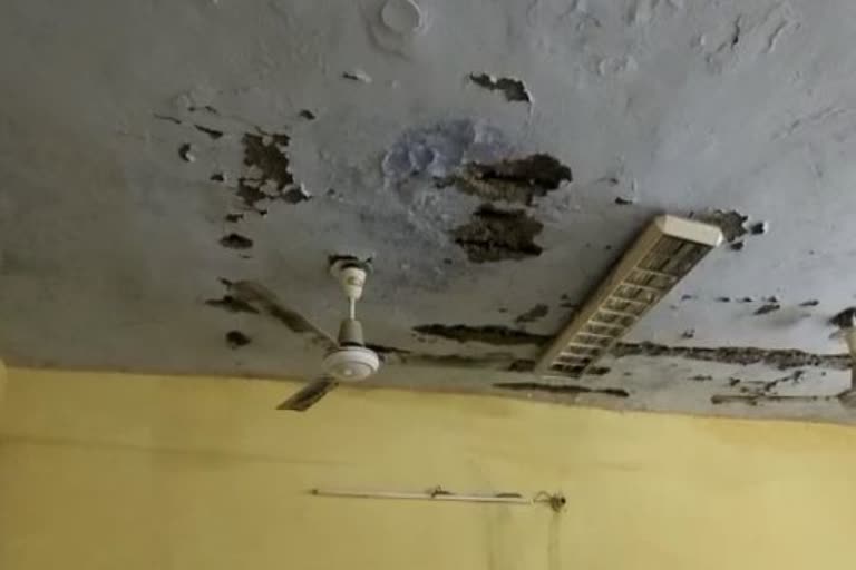 Ceiling plaster fell in CMHO office rooms