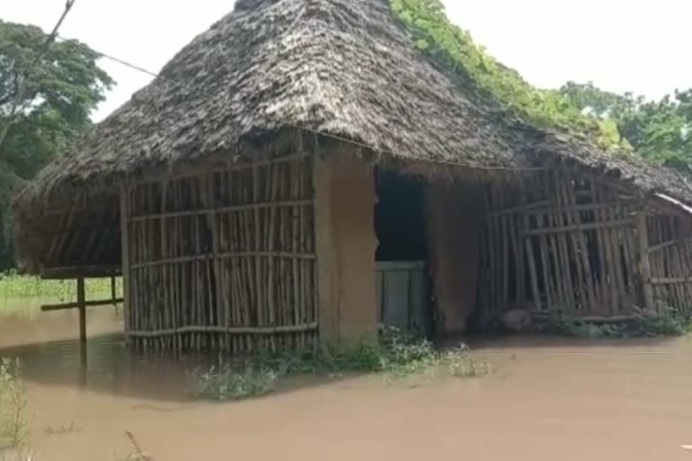 flood situation in kendrapara villagers waiting for government help