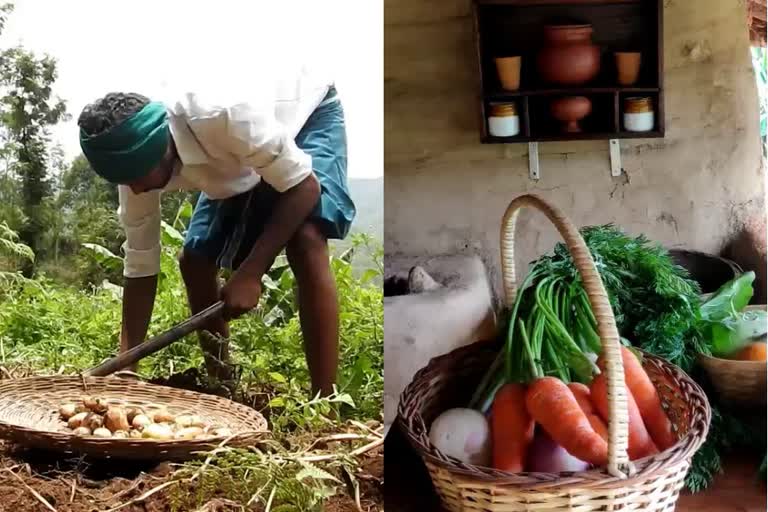 MBA graduate doing organic farming