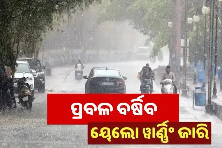 odisha weather department alert yellow warning for many district for possible rainfall