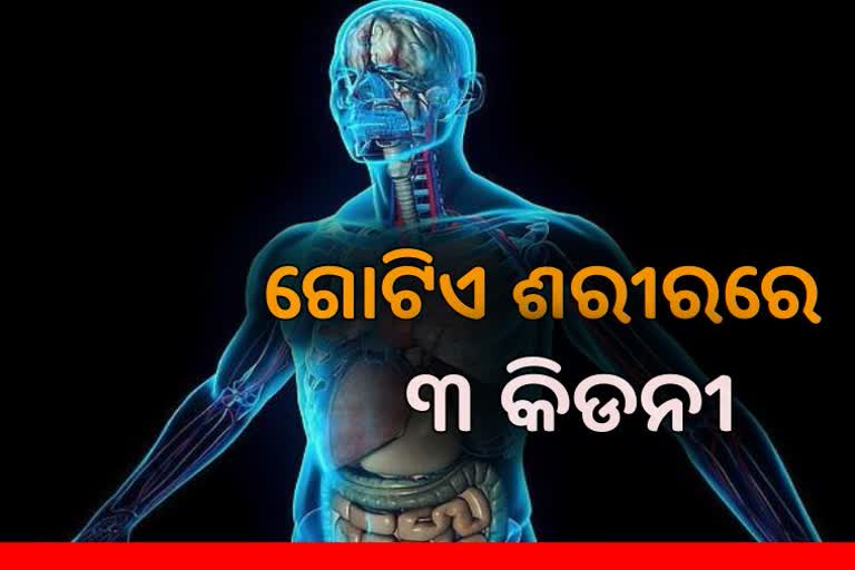 ବ୍ୟକ୍ତିଙ୍କ ଶରୀରରେ ୩ଟି କିଡିନି, କହିଲେ ଆବଶ୍ୟକ ପଡିଲେ କରିବେ ଦାନ