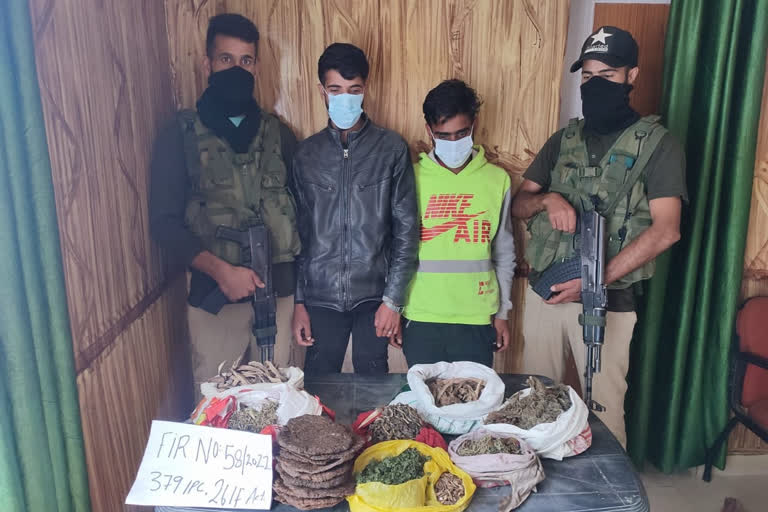 Duo held with endangered medicinal herb in Kupwara