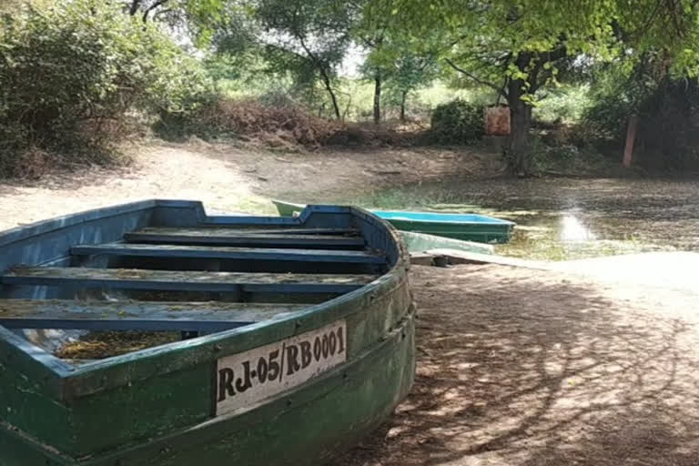 Water Crisis in Keoladeo National Park, boating may not possible in next season