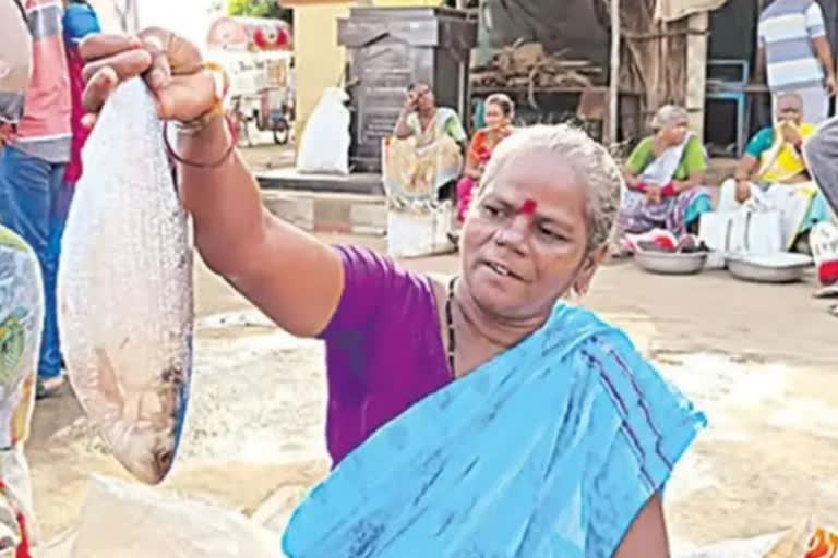 Rare Fish  Rare Fish got Huge amount in Market  Rare Fish of Pulasa  Godavari river  പുളസ  അപൂര്‍വയിനം മത്സ്യത്തിന്  ലേലത്തുക  അമരാവതി  ആന്ധ്രാപ്രദേശ്  ചന്ത  ഭൈരവപാലം  മത്സ്യം  മത്സ്യത്തൊഴിലാളികൾ