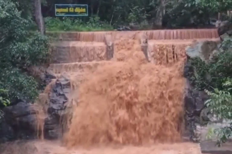 கல்வராயன்மலை பகுதியில் கனமழை...பெரியார் நீர்வீழ்ச்சியில் வெள்ளப்பெருக்கு