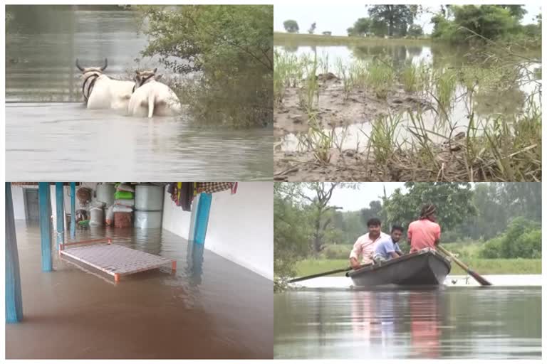 submurged vilage water disaster