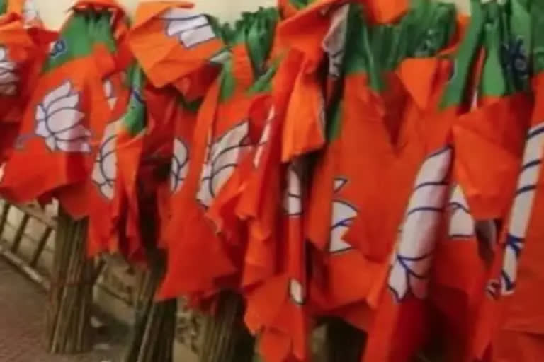 BJP party flag