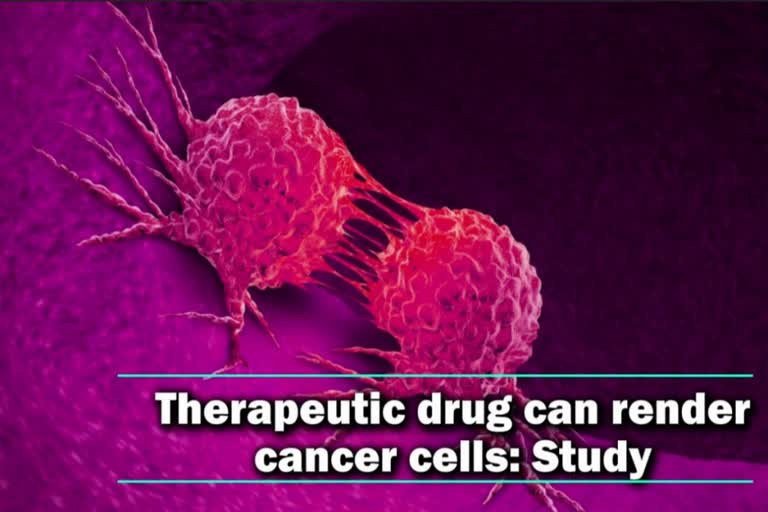 Therapeutic drug  cancer cells  immune system  protective scent  tumour  cancer  anti cancer medications  മരുന്നുകള്‍ കാന്‍സറിന് കാരണമാവുമെന്ന് പഠനങ്ങള്‍  മരുന്നുകള്‍ അപകരകാരികളോ  മരുന്നുകള്‍ കാന്‍സറിന് കാരണമാവുമെന്ന് പഠനങ്ങള്‍  കാന്‍സര്‍  അഡിനോസിന്‍  എന്താണ് കൈനസ്  മരുന്നുകള്‍ ഉപയോഗിക്കേണ്ട വിധം