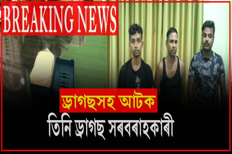 Drugs Padller arrested with huge amount of drugs in hojai