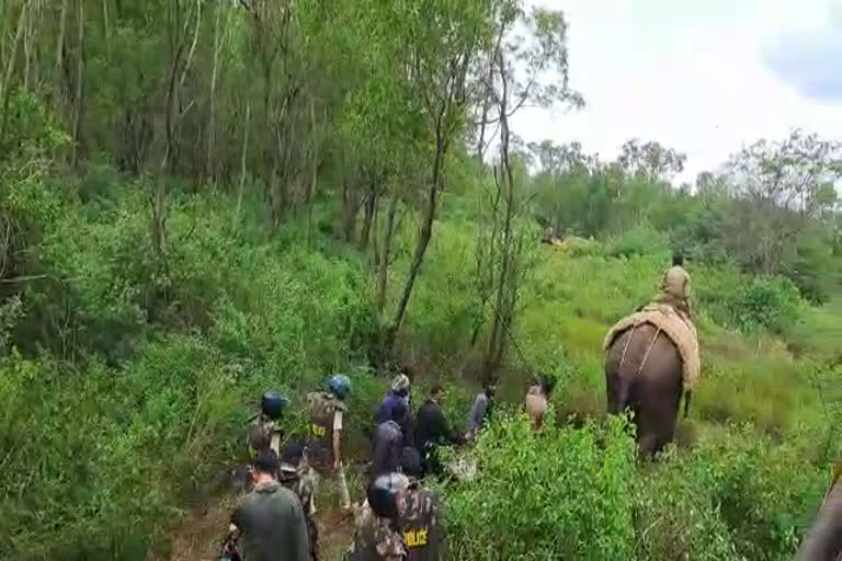 Honey trap to catch leopard  Honey trap to catch leopard in Balagavi Karnataka  Honey trap  ബെലഗാവിയില്‍ ഭീതി പരത്തി പുള്ളി പുലി  പുള്ളി പുലി  leopard  കര്‍ണാടകയിലെ ബെലഗാവി  Belagavi Karnataka  മധഉറ കെണി  ഹണി ട്രാപ്പ്  ദേശീയ കടുവ സംരക്ഷണ അതോറിറ്റി  എൻടിസിഎ