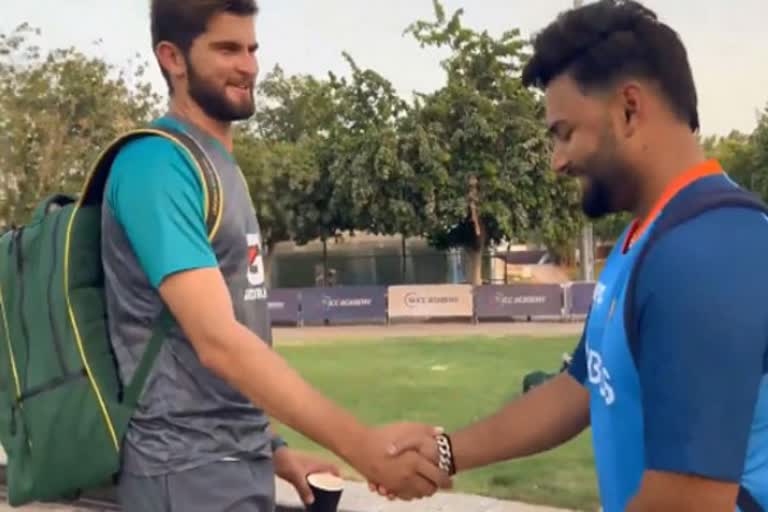 pant meets shaheen afridi