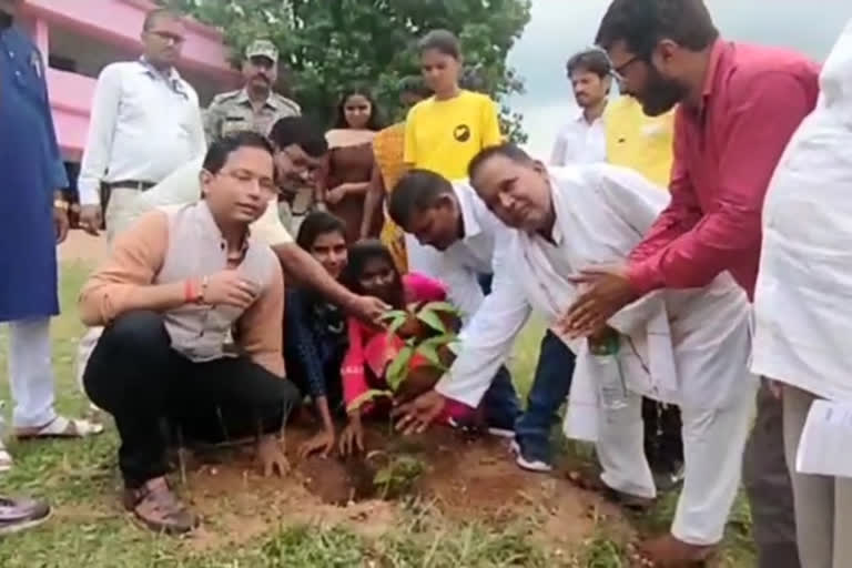 Plantation program in Koderma