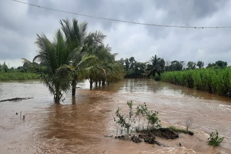 Etv Bharatheavy-rain-in-chamarajanagara